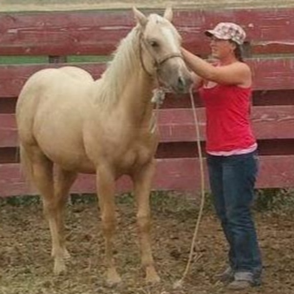 Meet your Posher, Savannah - Picture 1 of 1